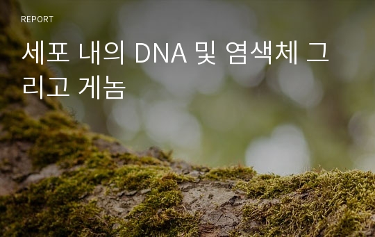 세포 내의 DNA 및 염색체 그리고 게놈