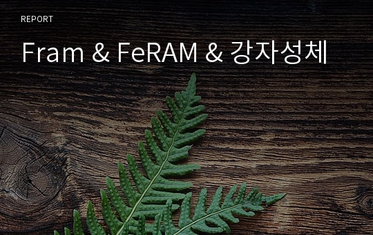 Fram &amp; FeRAM &amp; 강자성체