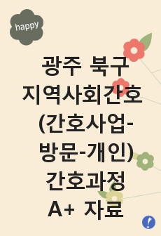 광주 북구 지역사회간호 (지역-간호사업-방문)A+ 자료