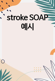 stroke SOAP 예시