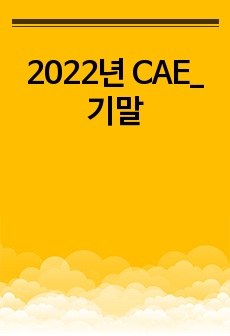 2022년 CAE_기말