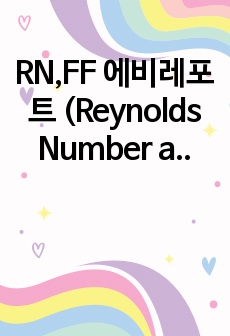 RN,FF 에비레포트 (Reynolds Number and Flow Characteristics & Fluid Friction Measurements)