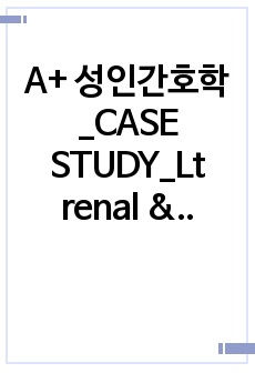 A+ CASE STUDY_왼쪽 신장 및 상부 요관 결석 (Lt renal & upper ureter stones)