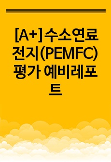 [A+]수소연료전지(PEMFC) 평가 예비레포트