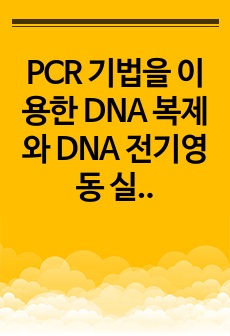PCR 기법을 이용한 DNA 복제와 DNA 전기영동 실험 보고서