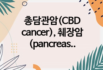 총담관암(CBD cancer), 췌장암(pancreas cancer), 주증상 황달 진단검사