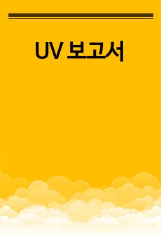 UV 보고서