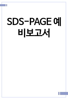 SDS-PAGE 예비보고서