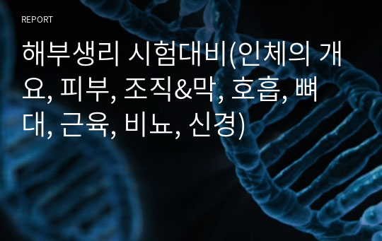 갑상선 해부학 및 생리학