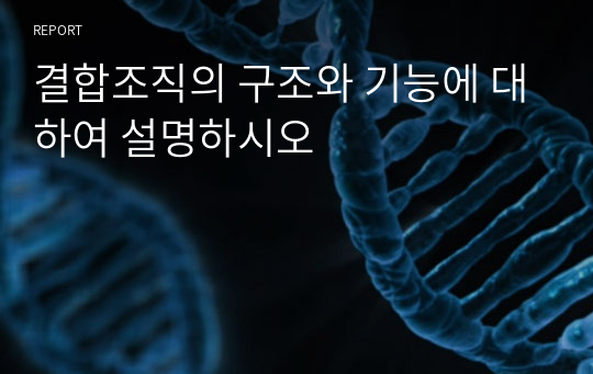 결합 조직 림프절