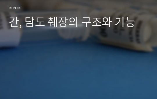 간 소엽 구조