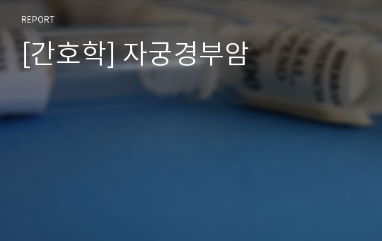 자궁암을 유발하는 인간 퍼피로마바이러스 외 원인과 식이요법[AHCC 박사] 4