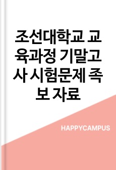 조선대학교 교육과정 기말고사 시험문제 족보 자료